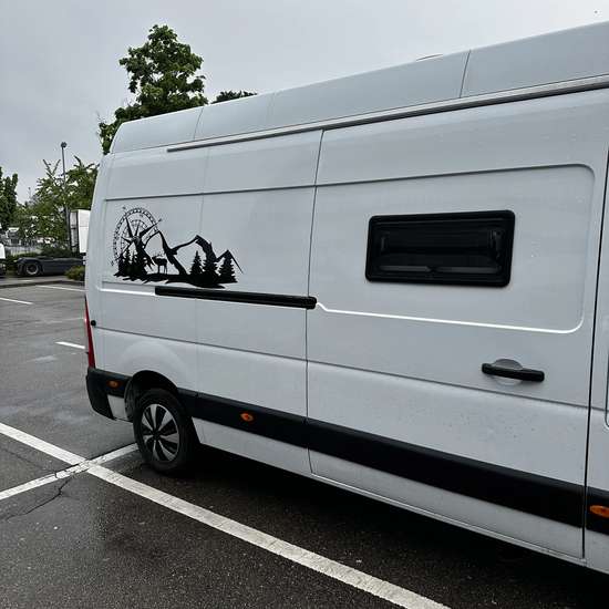 Renault Master 2,3 2011 (HU bis 02/28) - Bild 3
